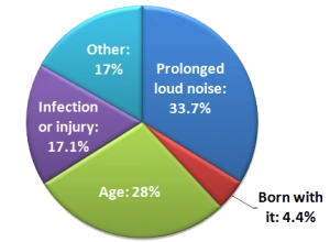 מהם הגורמים לירידה בשמיעה?